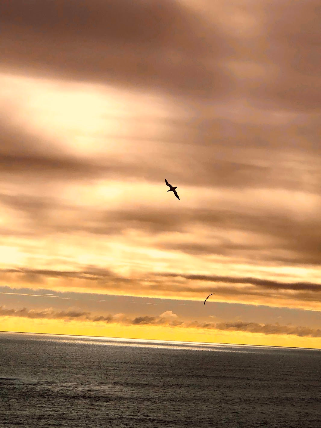 How to keep your heart alive in dark times.