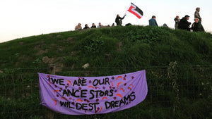'Our ancestors' wildest dreams': Why you should take your whanau to Ihumātao